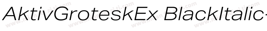 AktivGroteskEx BlackItalic字体转换